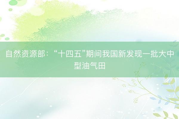 自然资源部：“十四五”期间我国新发现一批大中型油气田