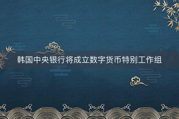 韩国中央银行将成立数字货币特别工作组