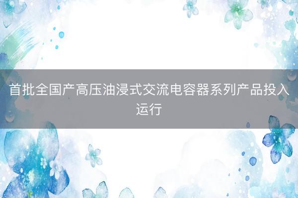 首批全国产高压油浸式交流电容器系列产品投入运行