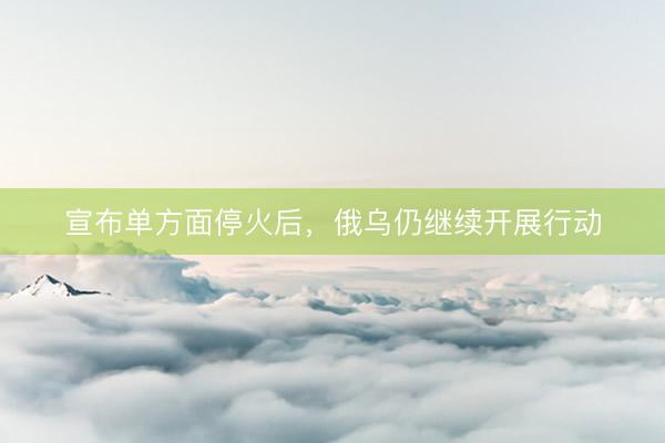 宣布单方面停火后，俄乌仍继续开展行动