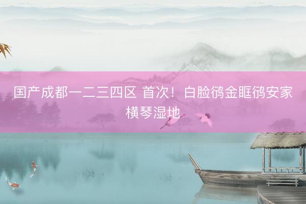 国产成都一二三四区 首次！白脸鸻金眶鸻安家横琴湿地
