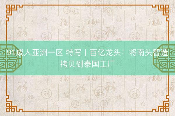 91成人亚洲一区 特写丨百亿龙头：将南头智造拷贝到泰国工厂
