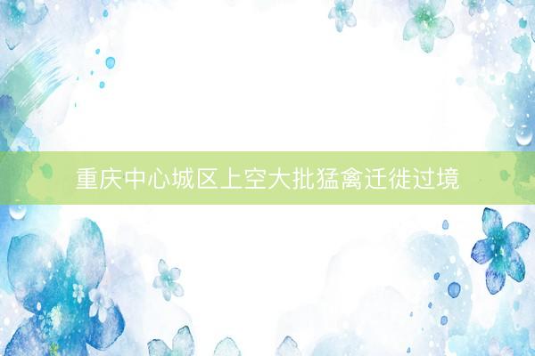 重庆中心城区上空大批猛禽迁徙过境