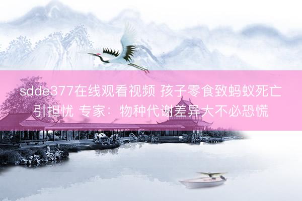 sdde377在线观看视频 孩子零食致蚂蚁死亡引担忧 专家：物种代谢差异大不必恐慌