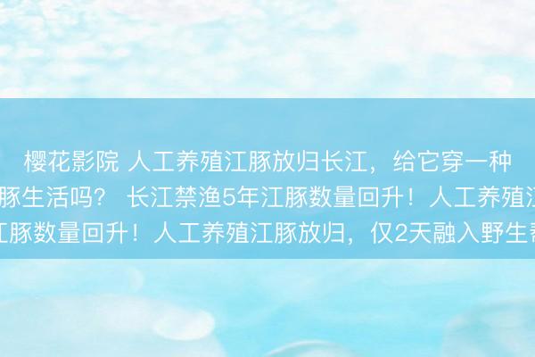 樱花影院 人工养殖江豚放归长江，给它穿一种定位马甲，会影响江豚生活吗？ 长江禁渔5年江豚数量回升！人工养殖江豚放归，仅2天融入野生帮