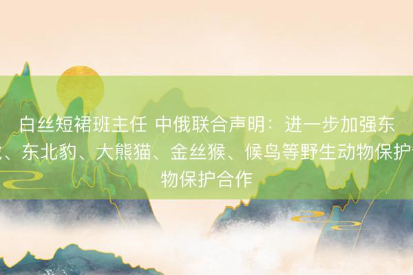白丝短裙班主任 中俄联合声明：进一步加强东北虎、东北豹、大熊猫、金丝猴、候鸟等野生动物保护合作