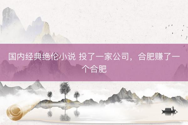 国内经典绝伦小说 投了一家公司，合肥赚了一个合肥