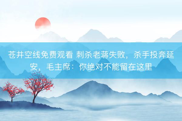苍井空线免费观看 刺杀老蒋失败，杀手投奔延安，毛主席：你绝对不能留在这里