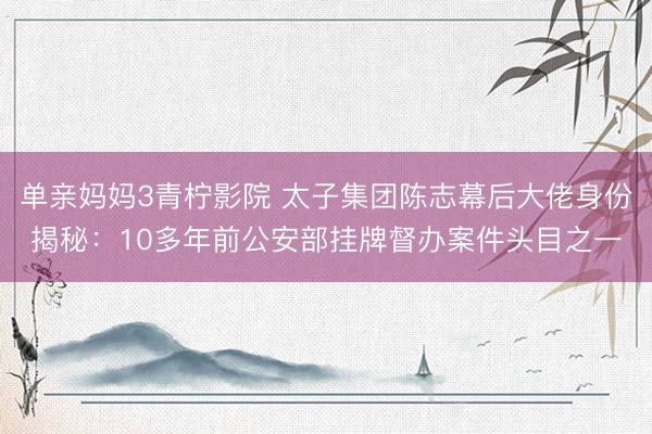 单亲妈妈3青柠影院 太子集团陈志幕后大佬身份揭秘：10多年前公安部挂牌督办案件头目之一