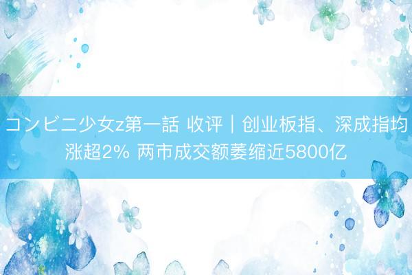 コンビニ少女z第一話 收评｜创业板指、深成指均涨超2% 两市成交额萎缩近5800亿