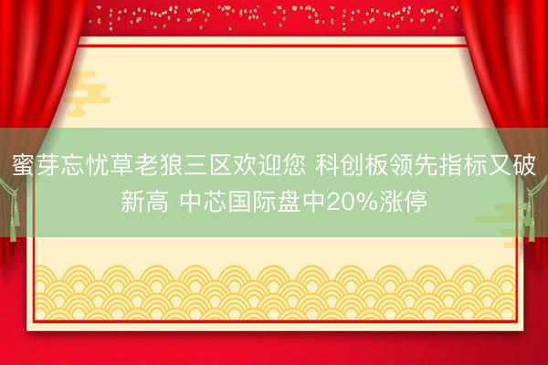 蜜芽忘忧草老狼三区欢迎您 科创板领先指标又破新高 中芯国际盘中20%涨停