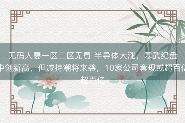 无码人妻一区二区无费 半导体大涨，寒武纪盘中创新高，但减持潮将来袭，10家公司套现或超百亿
