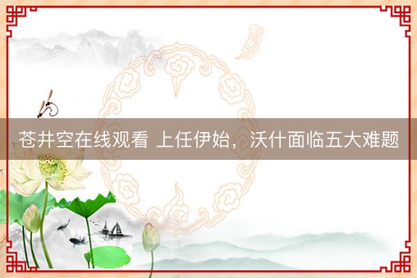 苍井空在线观看 上任伊始，沃什面临五大难题
