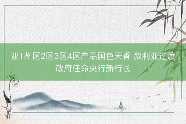 亚1州区2区3区4区产品国色天香 叙利亚过渡政府任命央行新行长