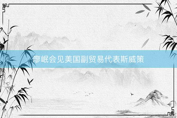 廖岷会见美国副贸易代表斯威策