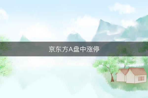 京东方A盘中涨停