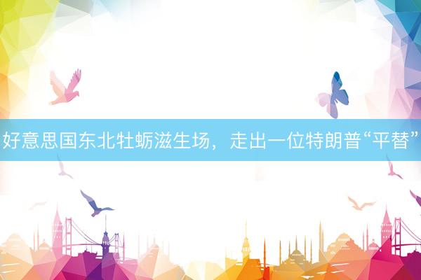 好意思国东北牡蛎滋生场，走出一位特朗普“平替”