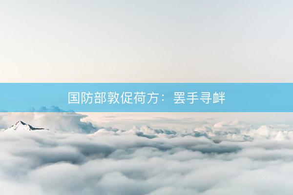 国防部敦促荷方：罢手寻衅