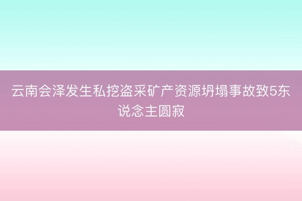 云南会泽发生私挖盗采矿产资源坍塌事故致5东说念主圆寂