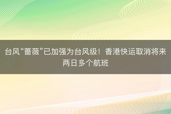 台风“蔷薇”已加强为台风级！香港快运取消将来两日多个航班