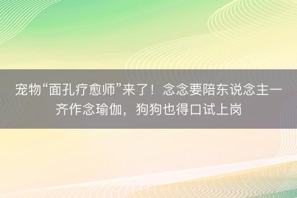 宠物“面孔疗愈师”来了！念念要陪东说念主一齐作念瑜伽，狗狗也得口试上岗