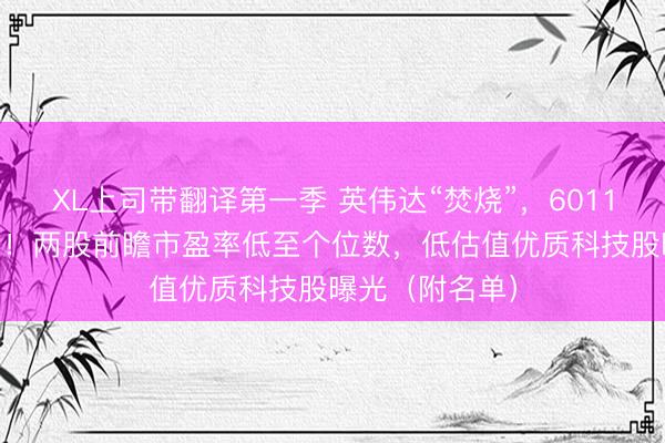 XL上司带翻译第一季 英伟达“焚烧”，601138，历史新高！两股前瞻市盈率低至个位数，低估值优质科技股曝光（附名单）