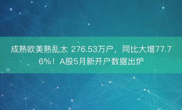 成熟欧美熟乱大 276.53万户，同比大增77.76%！A股5月新开户数据出炉