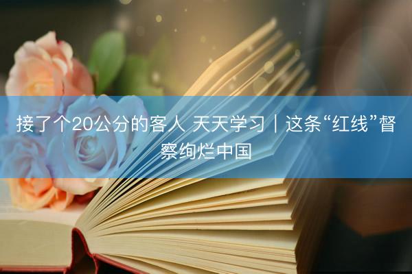 接了个20公分的客人 天天学习｜这条“红线”督察绚烂中国
