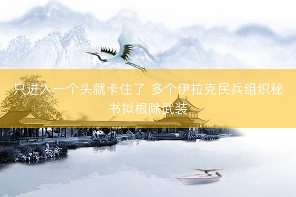 只进入一个头就卡住了 多个伊拉克民兵组织秘书拟根除武装