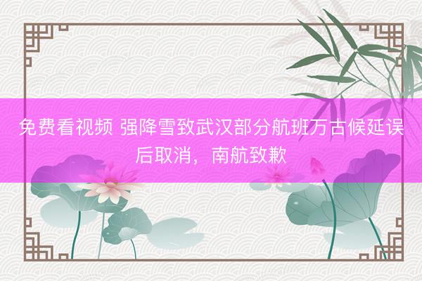 免费看视频 强降雪致武汉部分航班万古候延误后取消，南航致歉