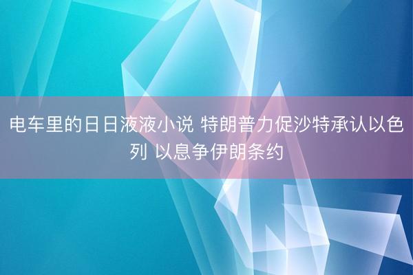 电车里的日日液液小说 特朗普力促沙特承认以色列 以息争伊朗条约