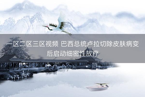 一区二区三区视频 巴西总统卢拉切除皮肤病变后启动细密性放疗
