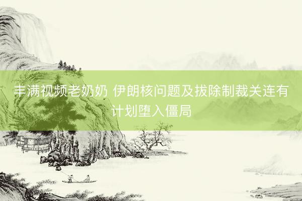 丰满视频老奶奶 伊朗核问题及拔除制裁关连有计划堕入僵局