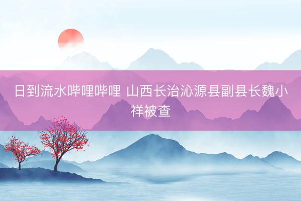 日到流水哔哩哔哩 山西长治沁源县副县长魏小祥被查