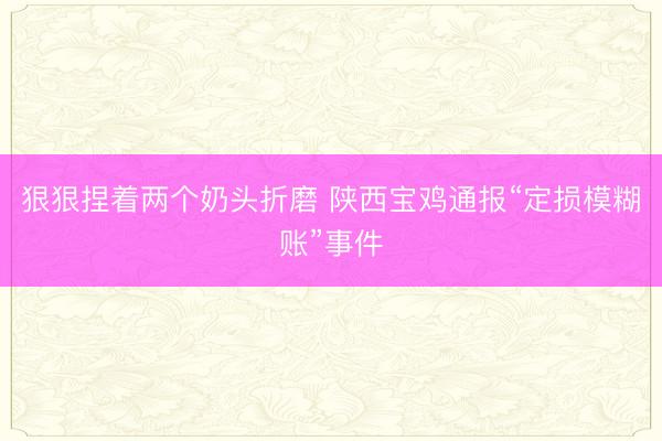 狠狠捏着两个奶头折磨 陕西宝鸡通报“定损模糊账”事件