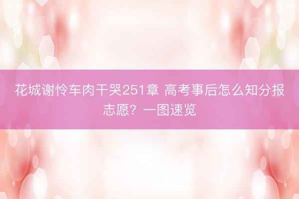 花城谢怜车肉干哭251章 高考事后怎么知分报志愿？一图速览