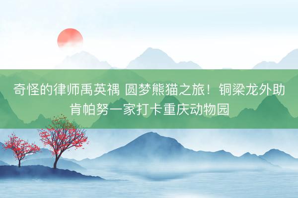 奇怪的律师禹英禑 圆梦熊猫之旅！铜梁龙外助肯帕努一家打卡重庆动物园