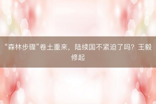 “森林步骤”卷土重来，陆续国不紧迫了吗？王毅修起