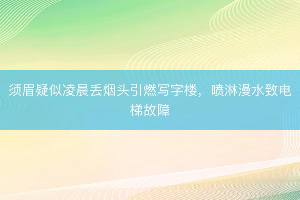 须眉疑似凌晨丢烟头引燃写字楼，喷淋漫水致电梯故障